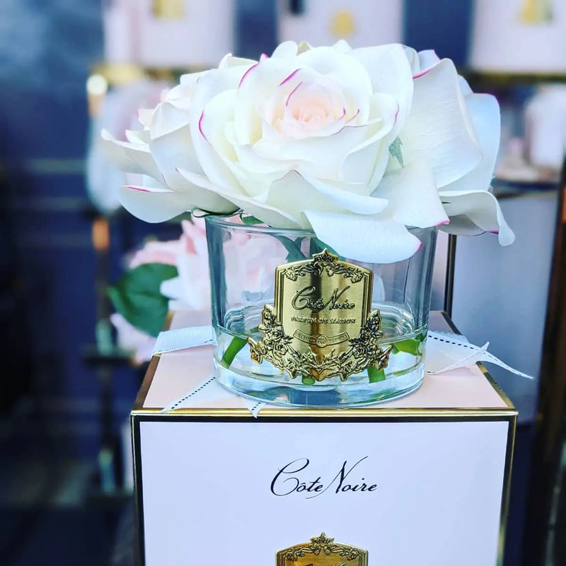 Cote Noire Perfumed Natural Touch 5 Roses - Clear - Pink Blush - Pink Box - GMR88 Cote Noire