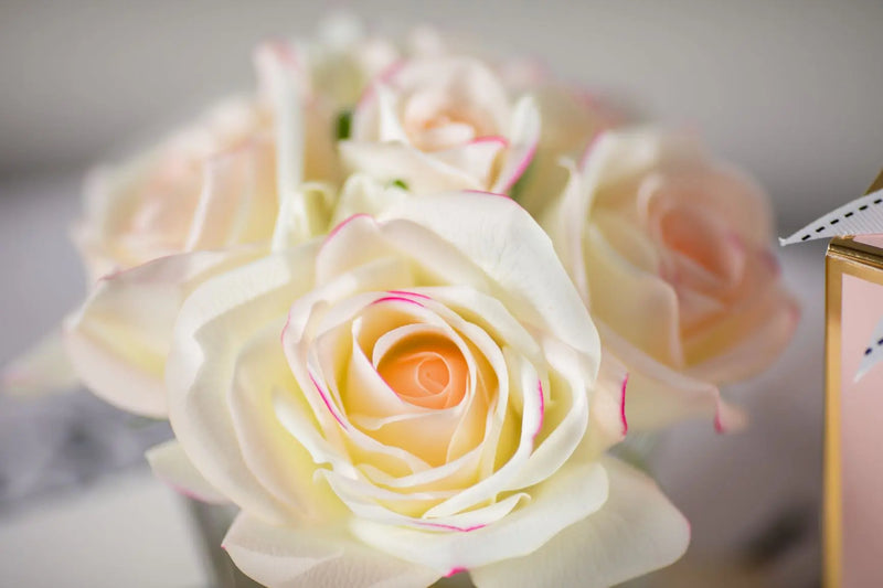 Cote Noire Perfumed Natural Touch 5 Roses - Clear - Pink Blush - Pink Box - GMR88 Cote Noire