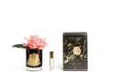 Cote Noire Perfumed Natural Touch Single Rose - Black - White Peach - GMRB05 Cote Noire