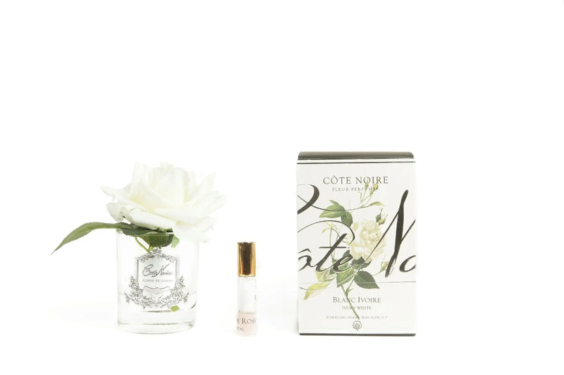 Cote Noire Perfumed Natural Touch Single Rose - Clear - Ivory White - GMR01 Cote Noire