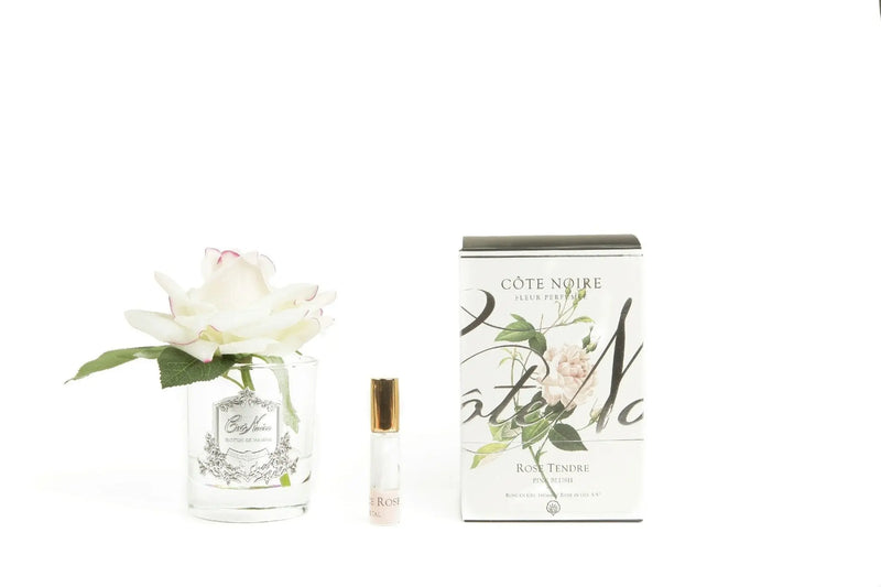 Cote Noire Perfumed Natural Touch Single Rose - Clear - Pink Blush - GMR02 Cote Noire