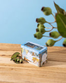 Koala Tea Koala Gift Tin Beach Koala Tea