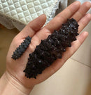 Black Sea Cucumber - Premium Wild Spiked Seafood | North Atlantic High Protein Joyce