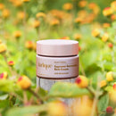 Jurlique Nutri-Define Supreme Restorative Rich Cream 50ml Jurlique