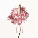 Issey Miyake L'Eau d'Issey Eau & Pivoine EDTI 50ml Issey Miyake