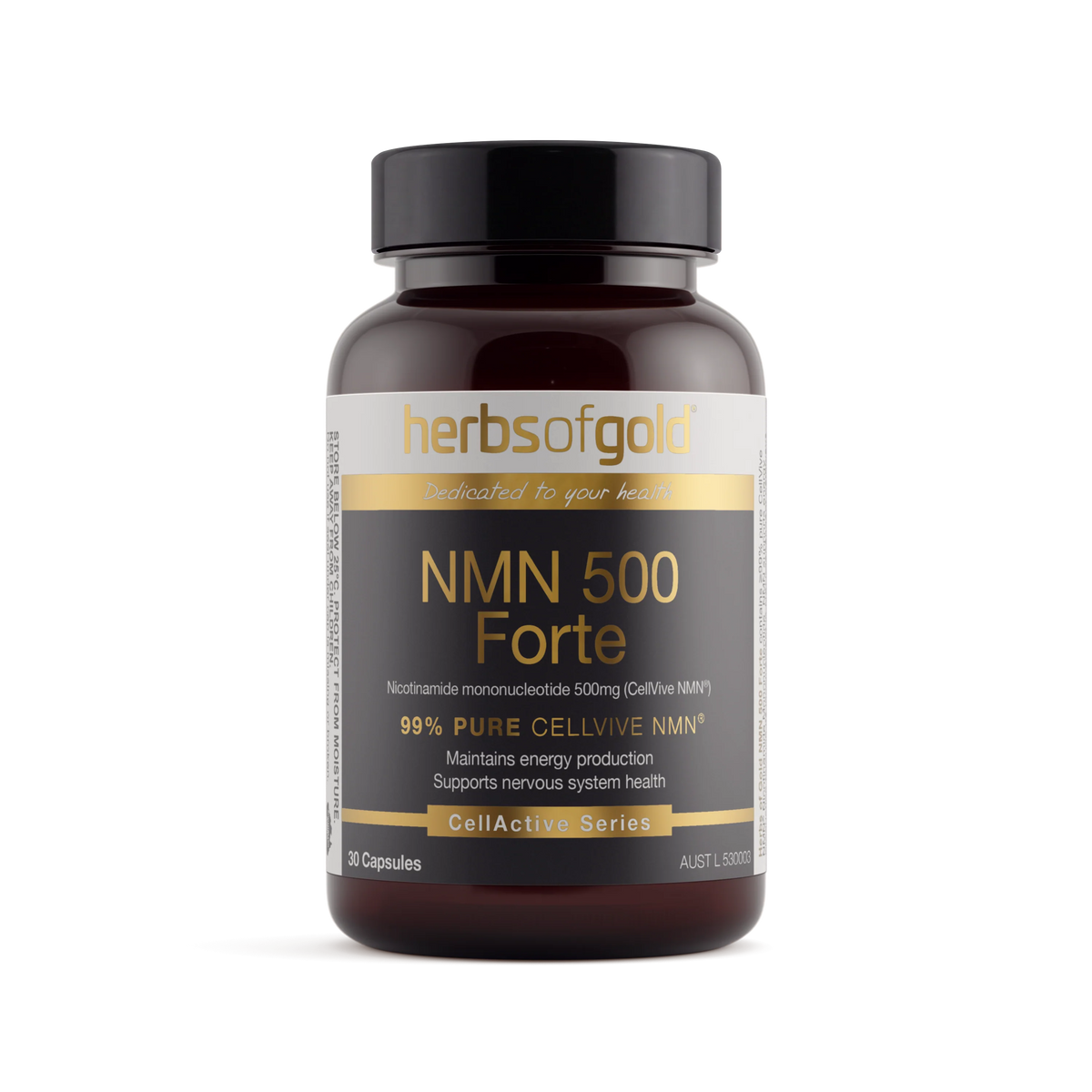 NMM 500 Forte