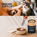 The image is a collage of two photos. The top photo shows a person petting a dog, while the bottom photo shows a person feeding a cat from a bowl of cat food.