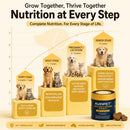 The image is an infographic that illustrates the importance of nutrition for dogs and cats at different stages of life. It shows a progression from puppies to senior stages, highlighting the key nutritional needs for each stage. The infographic also includes a product called "Auipet" and a can of dog food, emphasizing the importance of a balanced diet for pets.