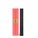 Glasshouse Fragrances One Night In Rio 5 Replacement Scent Stems - XDaySale